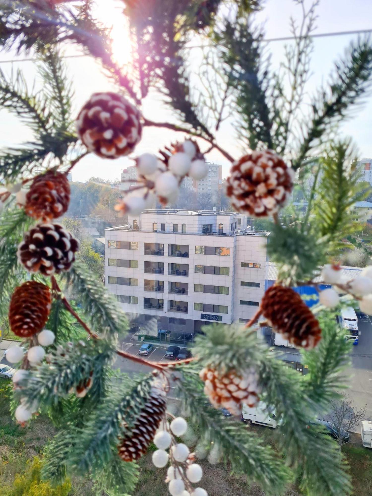 Penthouse Aeroport Iasi Apartment ภายนอก รูปภาพ