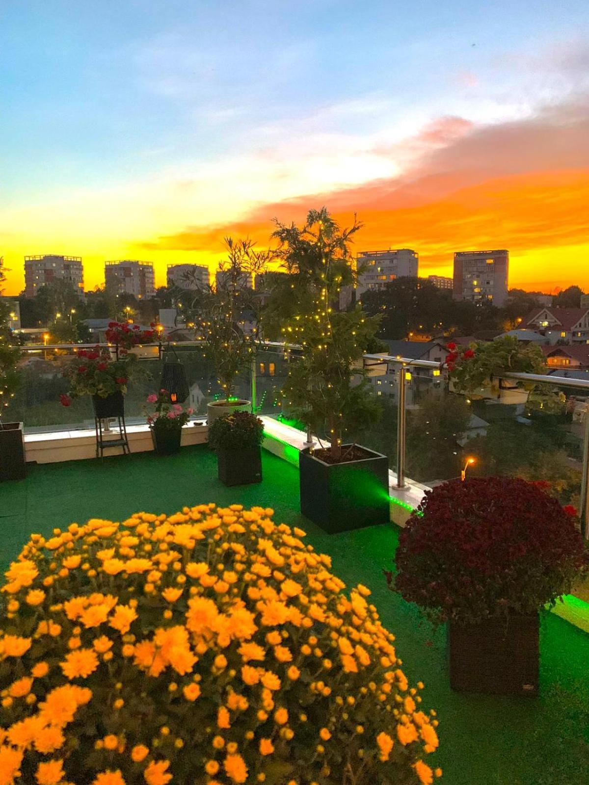 Penthouse Aeroport Iasi Apartment ภายนอก รูปภาพ